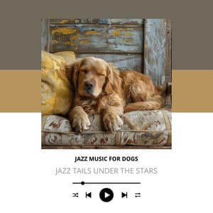 Jazz Tails Under the Stars - Jazz Music for Dogs