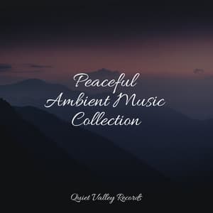 Peaceful Ambient Music Collection - Best Kids Songs