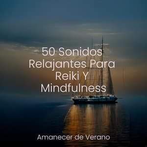 50 Sonidos Relajantes Para Reiki Y Mindfulness - Dormir