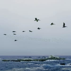 Midnight Dreamscape Flight - Solis Reverie