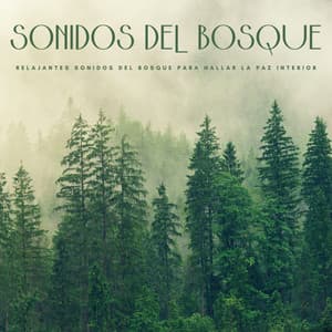 Sonidos Del Bosque: Relajantes Sonidos Del Bosque Para Hallar La Paz Interior - Reiki Consorte de Curación