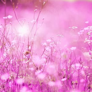 Echoes of Courageous Journey - Yes Jazz