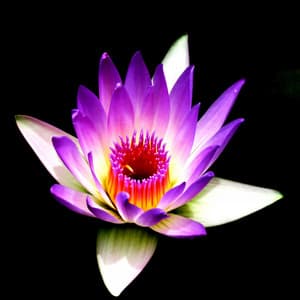 Relaxation music for Napping, Stress Relief, Relaxation, Well-Being - Positive Music