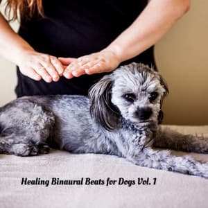 Healing Binaural Beats for Dogs Vol. 1 - Dogs Music Therapy