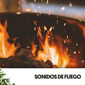Sonidos de Fuego: Melodías ardientes - Dog Relaxation