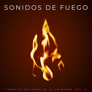 Sonidos De Fuego: Troncos Ardiendo En La Chimenea Vol. 2 - Terrícola