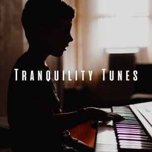 Tranquility Tunes: Piano for Relaxation - One Audience Piano
