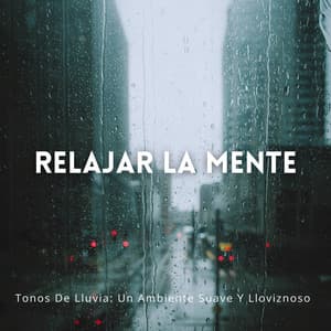 Tonos De Lluvia: Un Ambiente Suave Y Lloviznoso Para Relajar La Mente - Efectos especiales de lluvia del bosque