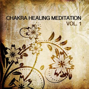 Chakra Healing Meditation, Vol. 1 - Sound Traveller