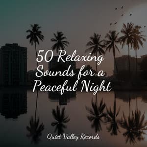 50 Relaxing Sounds for a Peaceful Night - Meditative Music Guru