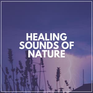 Healing Sounds of Nature - Thunderstorm Meditation