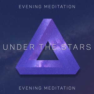 Under the Stars – Evening Meditation with Shamanic New Age Music, Achieve Peace of Mind & Inner Harmony, Spiritual Healing, Deep Breath, Transcendental Energy, Mindfulness - Project!Yoga Meditation