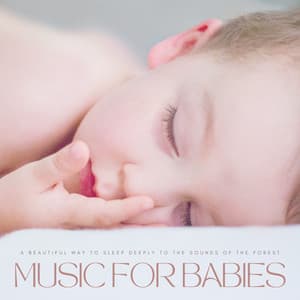 Music For Babies: A Beautiful Way To Sleep Deeply To The Sounds Of The Forest - Lullaby Einstein