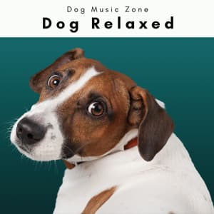2 0 2 2 Dog Relaxed Vol. 2 - Dog Music Zone