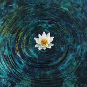 Mystic Meditation for Self-Discovery - La Nature