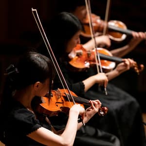 Gentle Symphony: Soft Orchestra Sounds - Jason Humphries