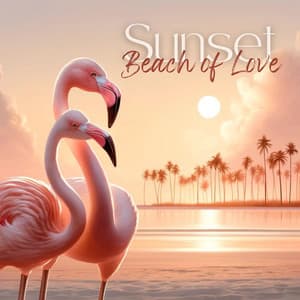 Sunset Beach of Love - DJ Sunset Session