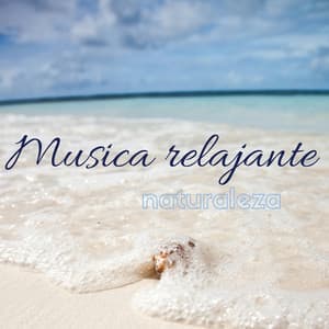 Musica relajante naturaleza – Sonidos natural de fondo para relajacion yoga masaje spa meditacion - Relajacion Conjunto