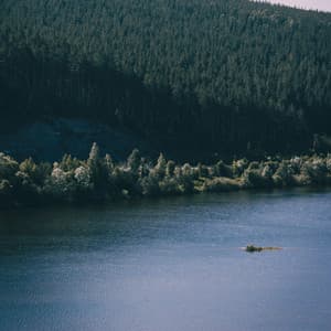 Cool Brown Sleep Noise - Sleepy Sounds