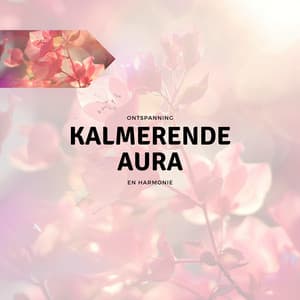 Kalmerende Aura - Ontspanning en Harmonie