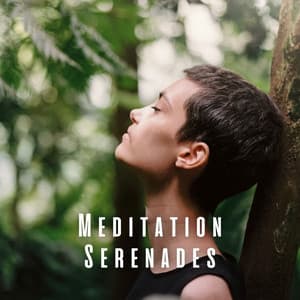 Meditation Serenades: Harmonic Pathways to Inner Calm - 1 Hour Meditation
