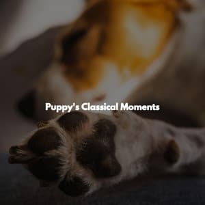 Puppy's Classical Moments - Coffee Shop Smooth Jazz