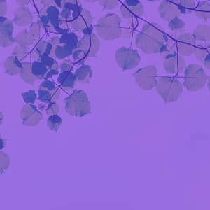 Sublime Background Music for After Hours Work - Música para Oficinas Musica De Fondo