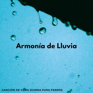 Armonía De Lluvia: Canción De Cuna Diurna Para Perros - Estado de ánimo de lluvia