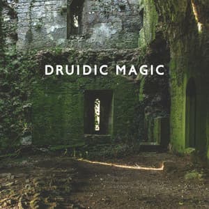 Druidic Magic - Reiki Raj