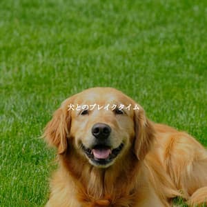 犬とのブレイクタイム - Smooth Jazz Deluxe