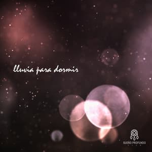 Lluvia para Dormir - Lluvia Del Bosque