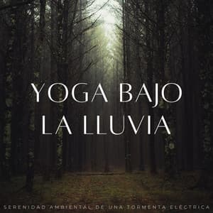 Yoga Bajo La Lluvia: Serenidad Ambiental De Una Tormenta Eléctrica - Tormentas Naturales