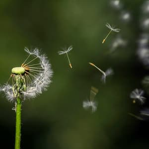 1st Melodic Noise Machine: Concentration and Focus - White Noise Therapy