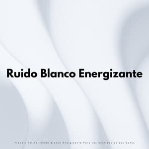 Frenesí Felino: Ruido Blanco Energizante Para Los Sentidos De Los Gatos - Ruido blanco relajante para una mejor relajación