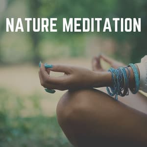 Nature Meditation - Rain Sounds Nature Collection