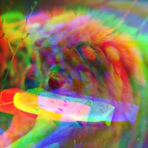 Guitar Jazz - Ambiance for Doggy Radio - Jazz for Dogs