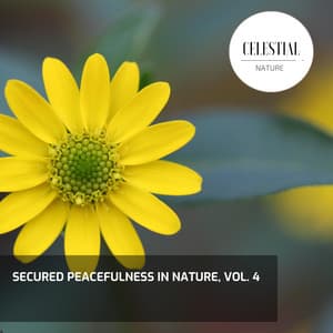 Secured Peacefulness in Nature, Vol. 4 - Nature Radiance