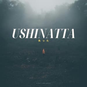 Ushinatta - Japan Meditation Music