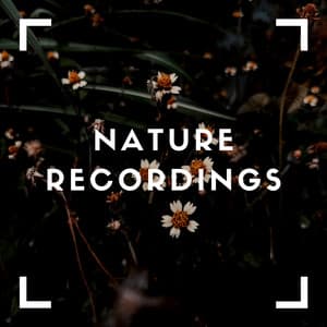 Natural Sounds for Sleep - Natural Sample Makers