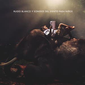 Ruido Blanco y Sonidos del Viento para Niños: Dormir Bien, Sueño Reparador, Alivio Nocturno - Dormir Maestro