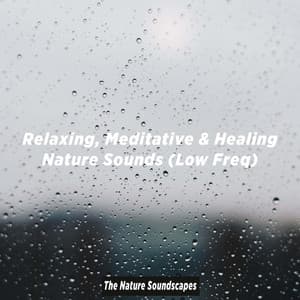 Relaxing, Meditative & Healing Nature Sounds - The Nature Soundscapes