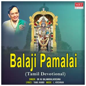 Balaji Pamalai - M. Balamuralikrishna