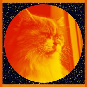 Music for Comfortable with Cats - Calming Music for Cats