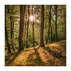 Inhale, Exhale and Fall Asleep - Zen Sleep Music Master