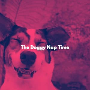 The Doggy Nap Time - Luxury Jazz Radio