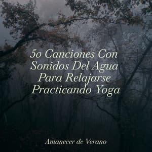 50 Canciones Con Sonidos Del Agua Para Relajarse Practicando Yoga - Canciones Para Niños