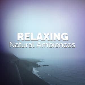 Relaxing Natural Ambiences - Relaxing Nature Ambience