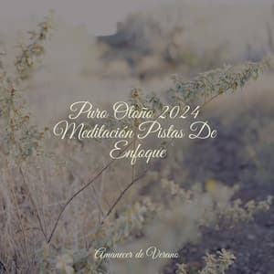 Puro Otoño 2024 Meditación Pistas De Enfoque - Mantra para Meditar