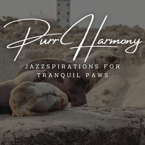 Paws and Jazz Serenity: Coffee Lounge Whiskers - Cafe Jazz Coffee Club