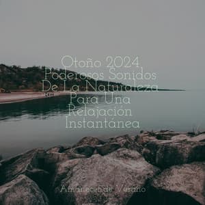 Otoño 2024 Poderosos Sonidos De La Naturaleza Para Una Relajación Instantánea - Massage Therapy Music